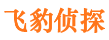 依兰市私家侦探